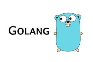 Zen Networks Golang